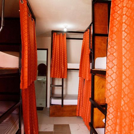 Moana Beach House モアルボアル エクステリア 写真